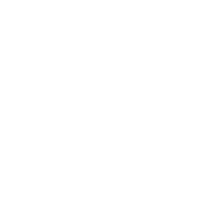 logo ertugrul